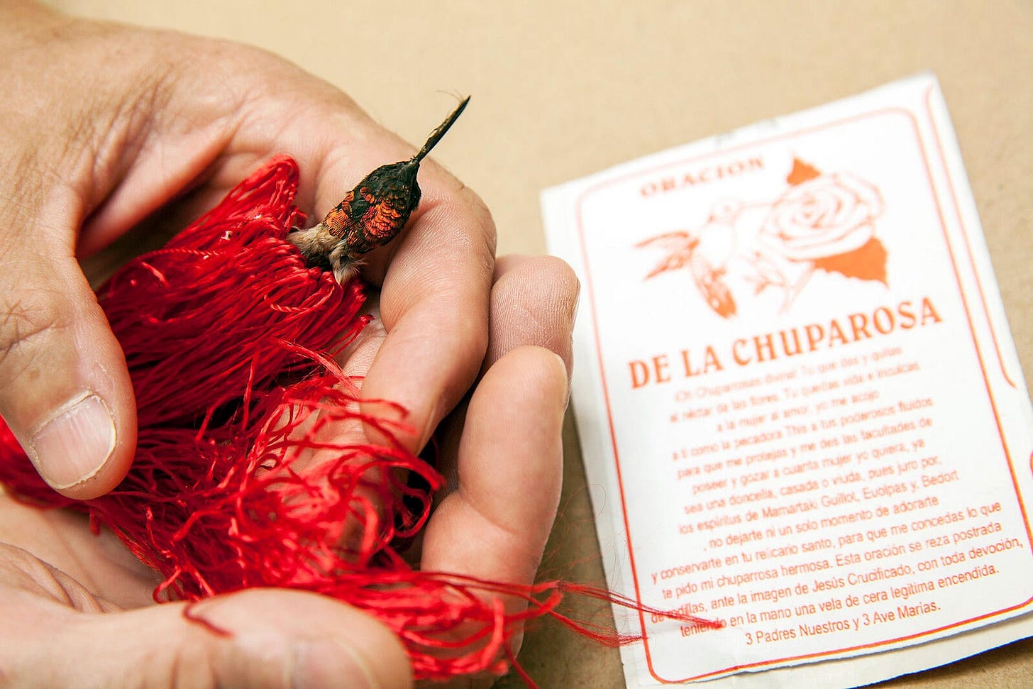 The Illegal Trade in These Love Charms Is a Growing Threat to Hummingbirds | Audubon The Illegal Trade in These Love Charms Is a Growing Threat to Hummingbirds | Audubon