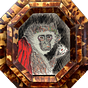 ringleader's avatar