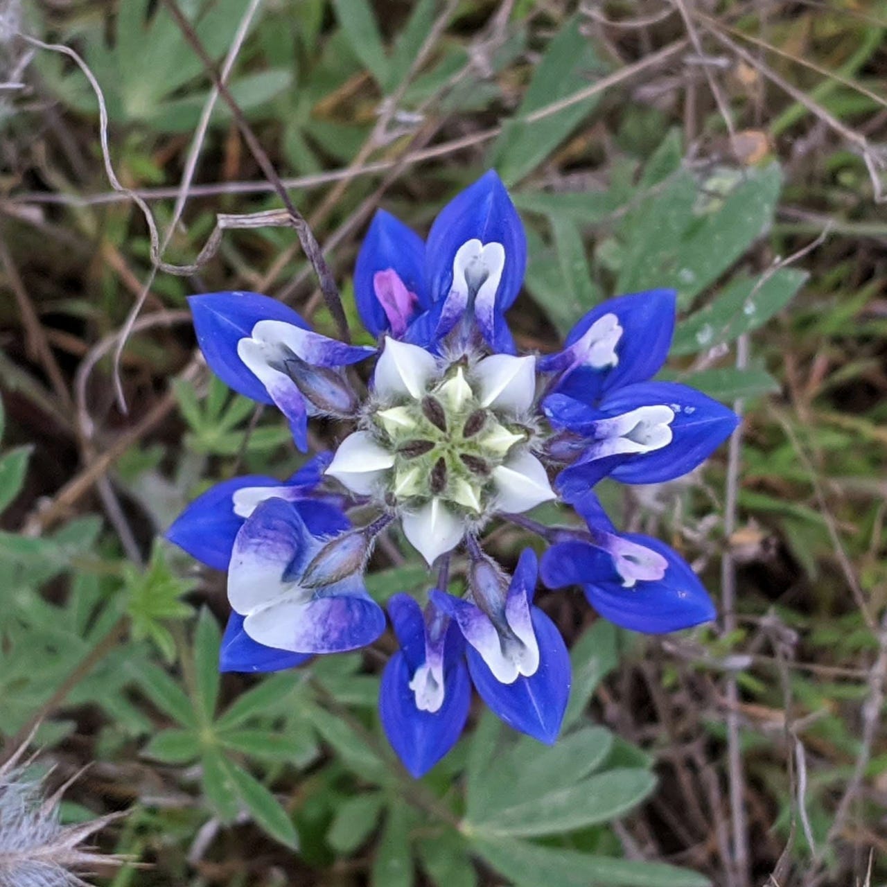 aannddyy’s Substack