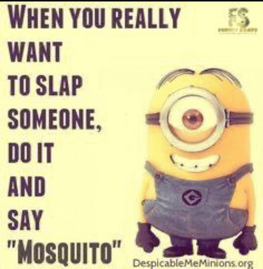 Damn this minion meme probably made so many people laugh on Facebook :  r/MoldyMemes