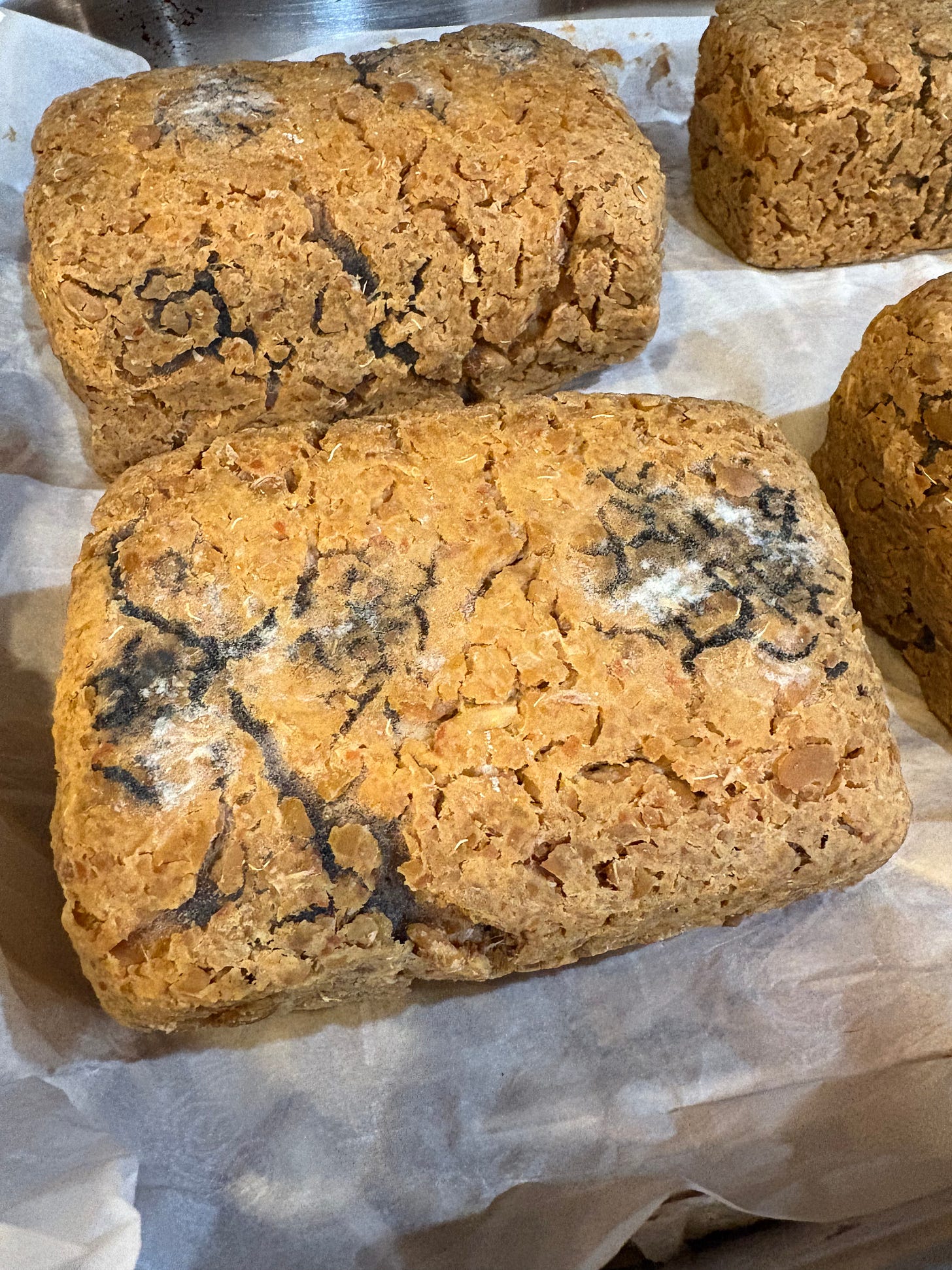 dried soybean blocks with white and black mold. BAD. i tossed them. 