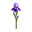 Iris Labx's avatar