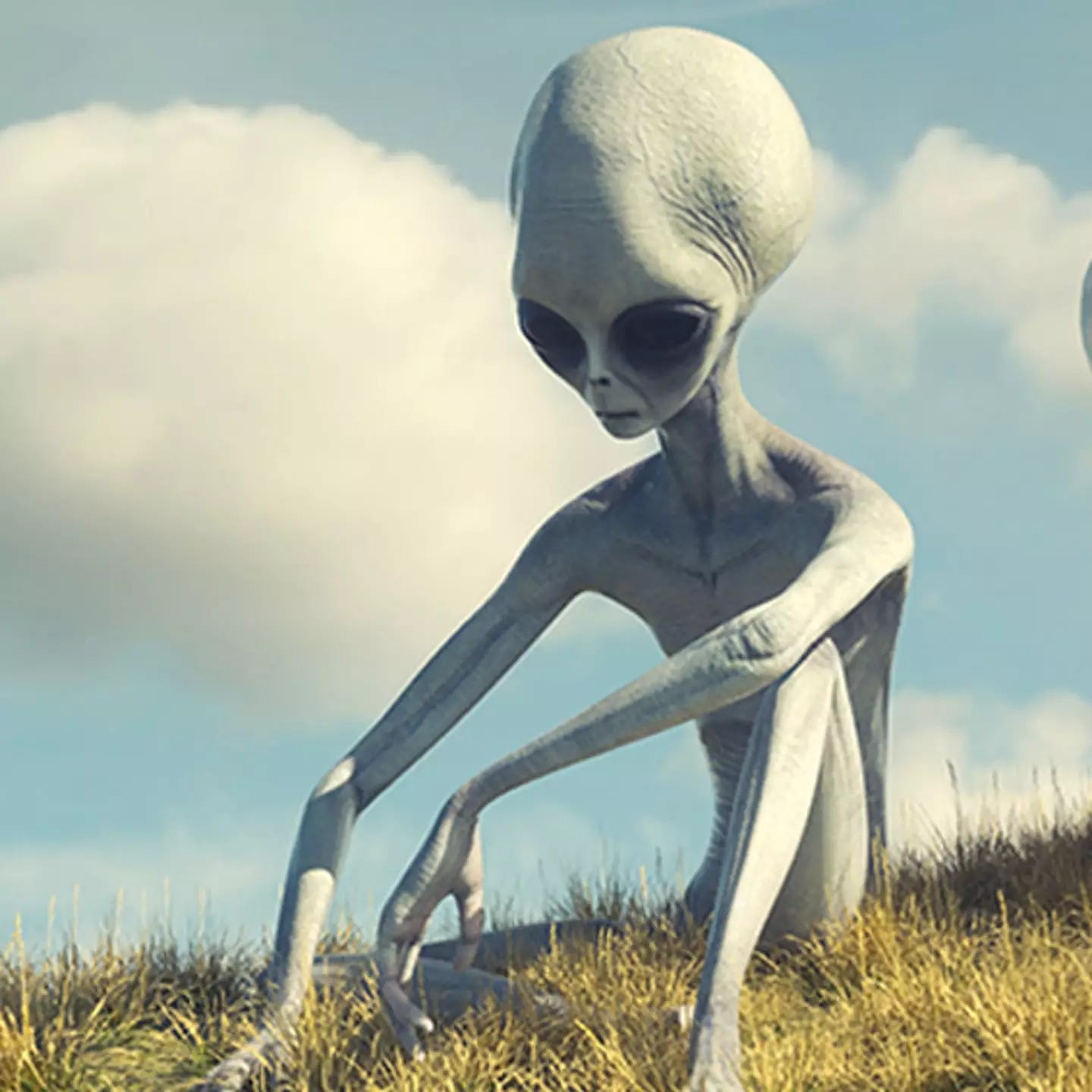 Scientists think aliens could already be on earth and reveal the most likely places they could Scientists think aliens could already be on earth and reveal the most likely places they could