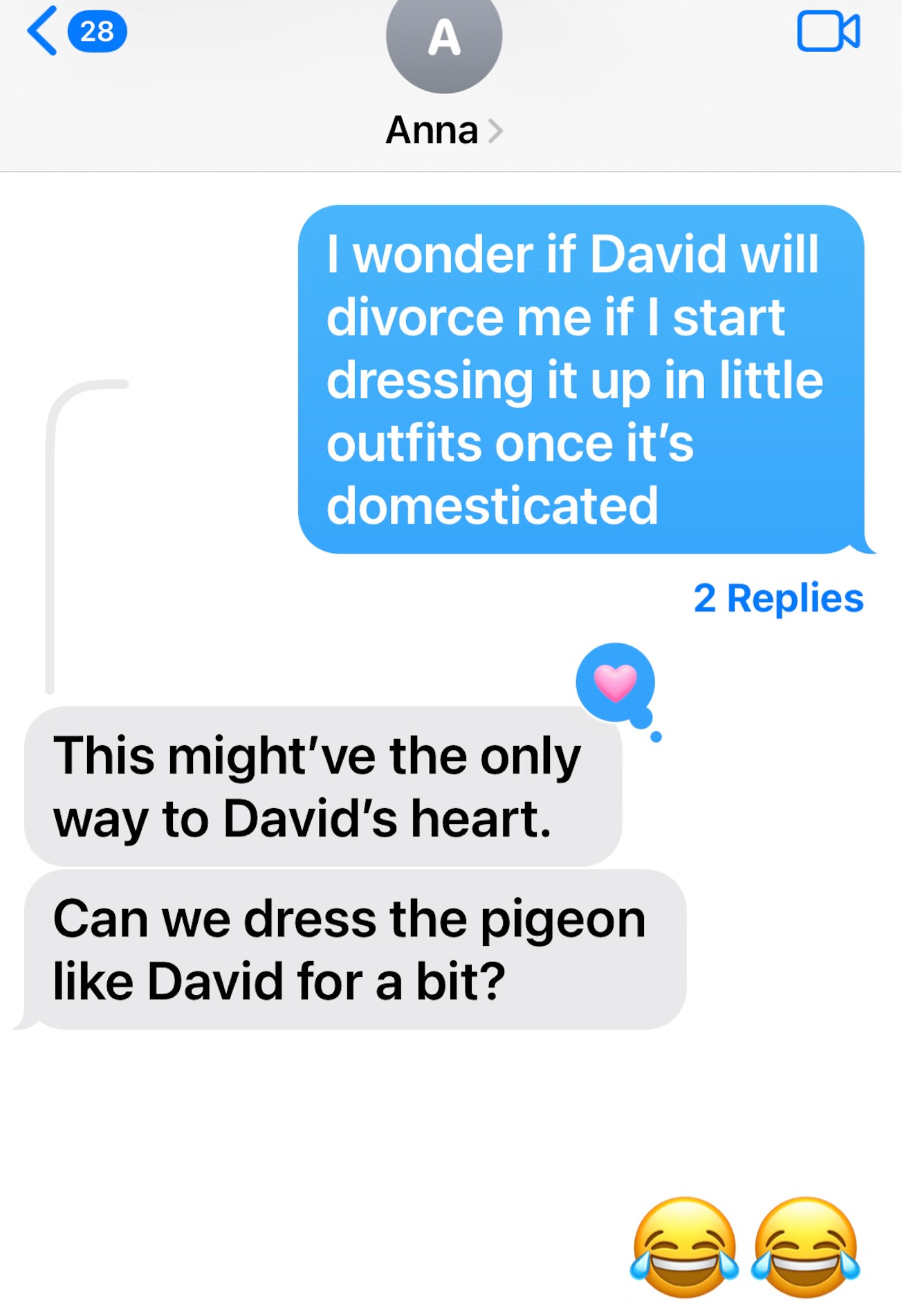 A screenshot of a text thread between Amber and contact named “Anna.” Amber has written, “I wonder if David will divorce me if I start dressing it up in little outfits once it’s domesticated.” Anna replies, “This [might’ve] the only way to David’s heart. Can we dress the pigeon like David for a bit?” Amber replies with two laughing-while-crying emojis.