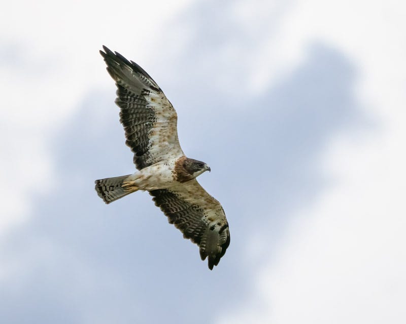 20250801-Manville-74-Edit.jpg 20250801-Manville-74-Edit.jpg