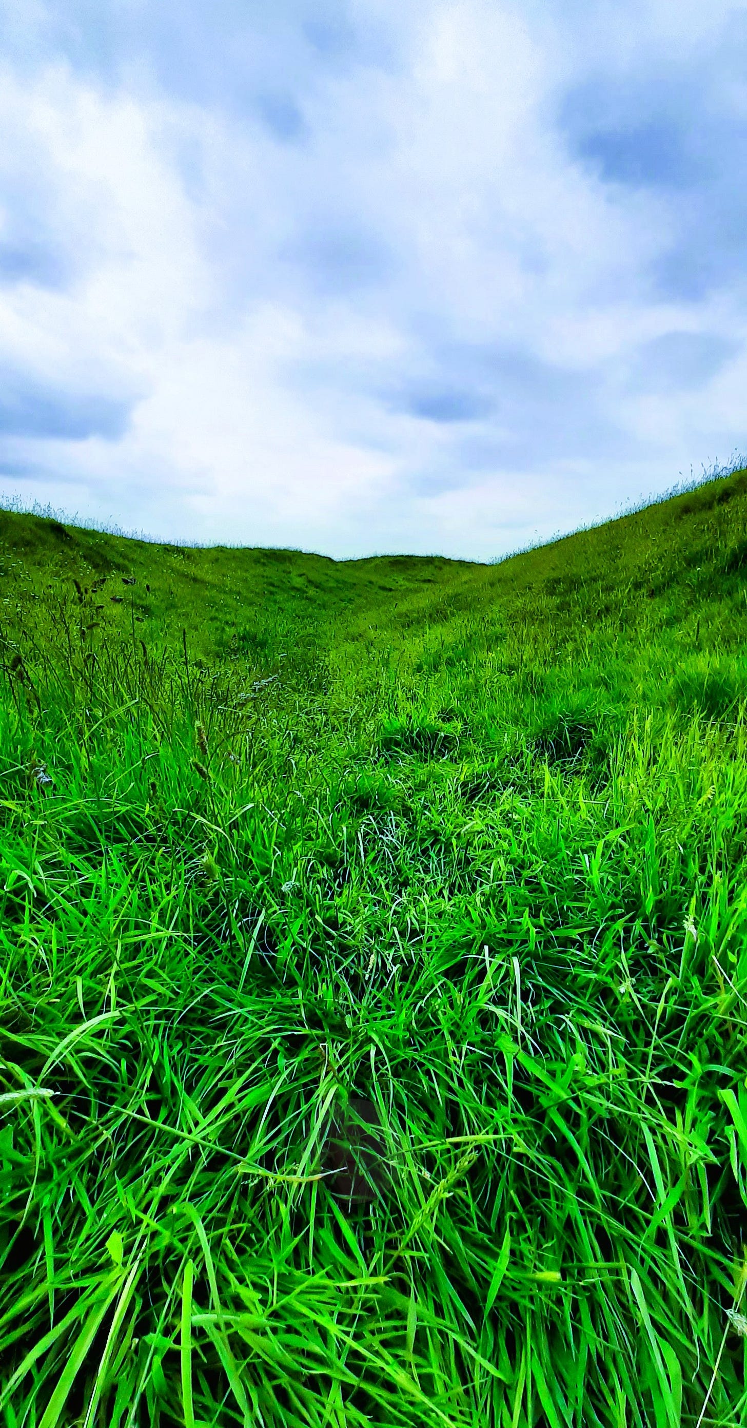 Hill of Tara Ireland - The Creatrix Experience ©2025 Elizabeth des Roches
