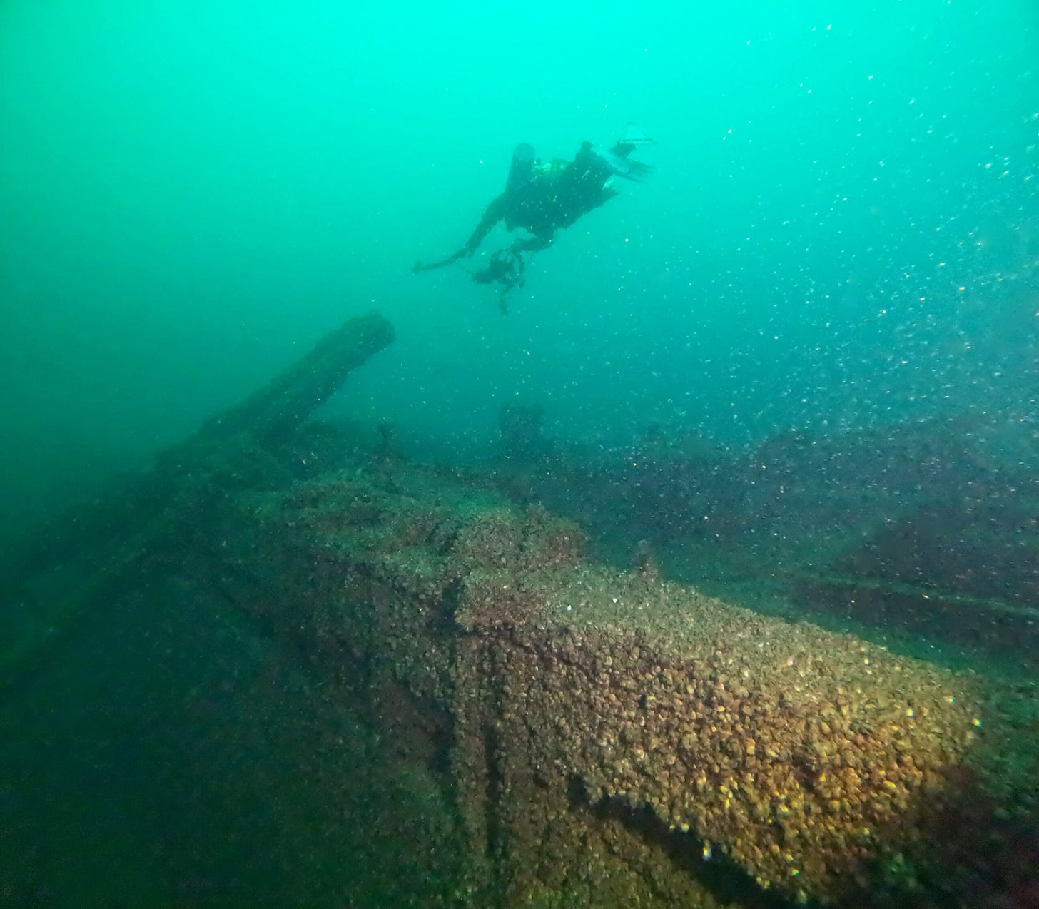 A scuba diver swims above a sunken, barnacle-covered shipwreck in murky green water.