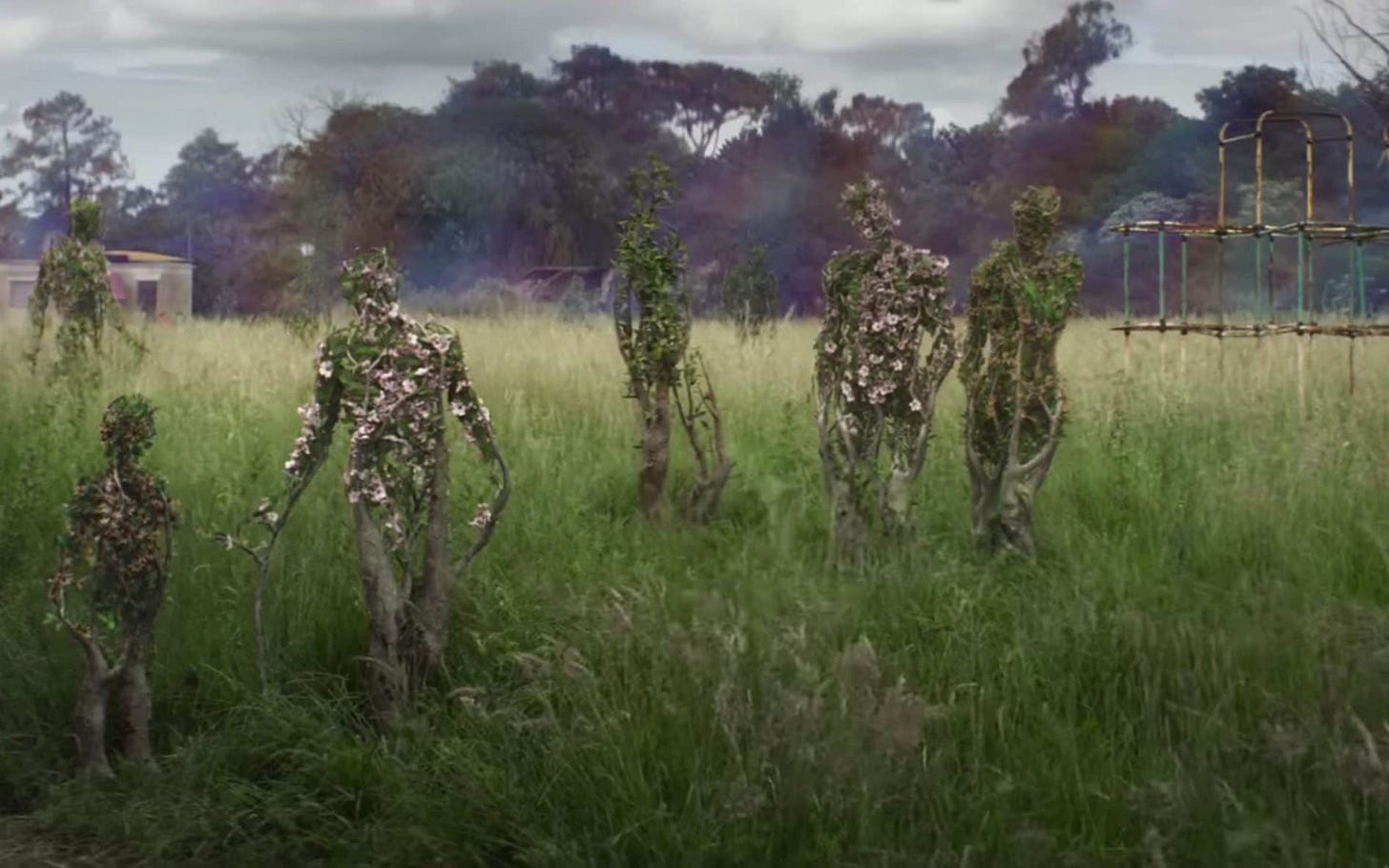 Annihilation: who are the Southern Reach and what on earth is The Shimmer?