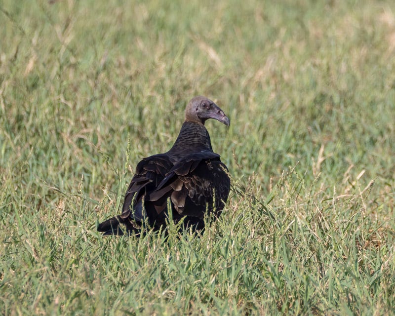 20250911-Marana-216-Edit.jpg 20250911-Marana-216-Edit.jpg