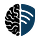 Neurosecurity Observer