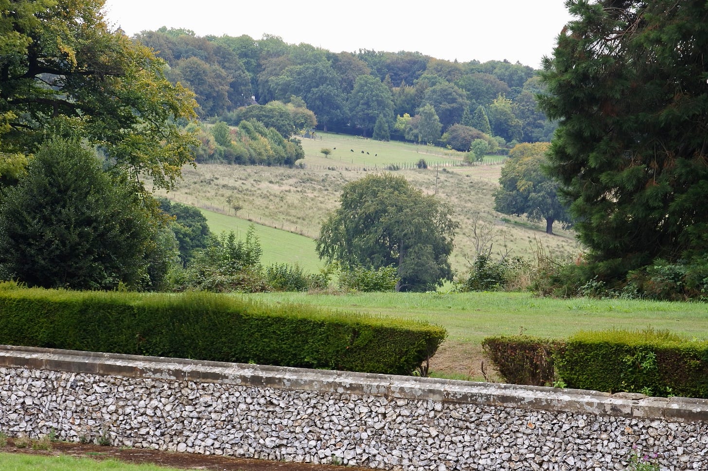 The Ashridge grounds towards the woodland