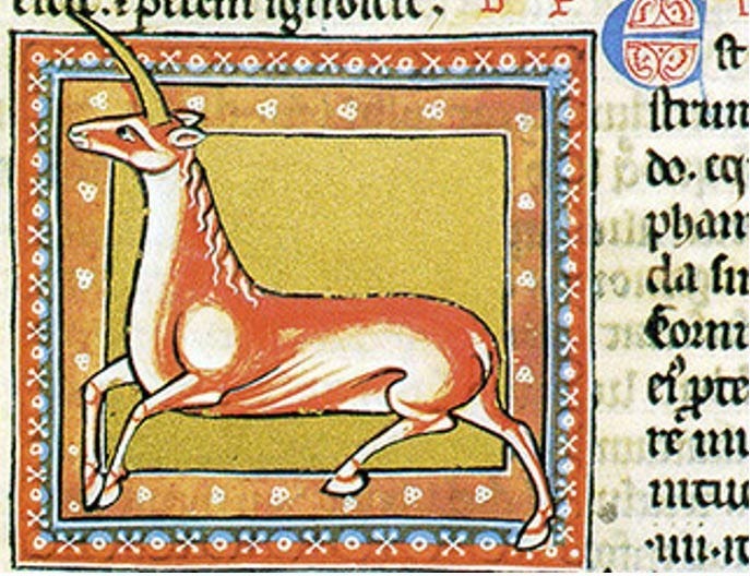 The monoceres, from the Greek accounts, depicted in the 12th or early 13th century Ashmole Bestiary. The monoceres, from the Greek accounts, depicted in the 12th or early 13th century Ashmole Bestiary.