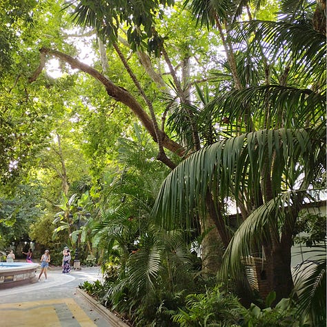 White flowers of Spain and a lush green municipal park in Marbella