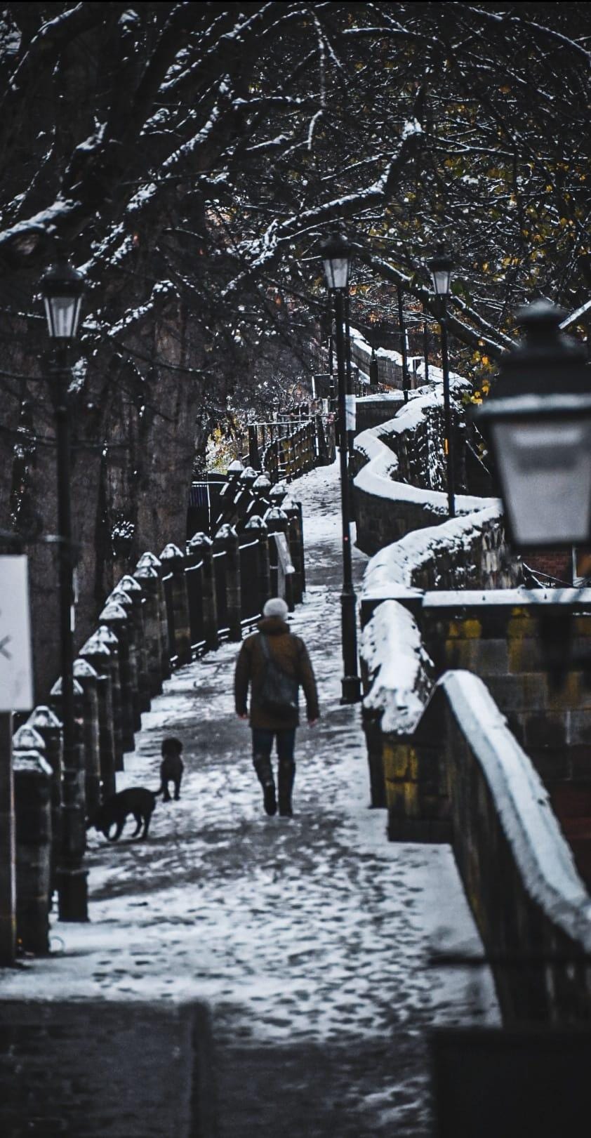 Chester: The beauty of winter in pictures | Chester and District Standard