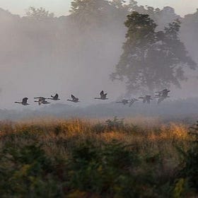 The living proof of a deceased story