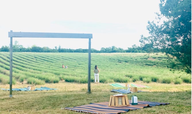 Evenings in the Vineyards: Aix Evenings in the Vineyards: Aix