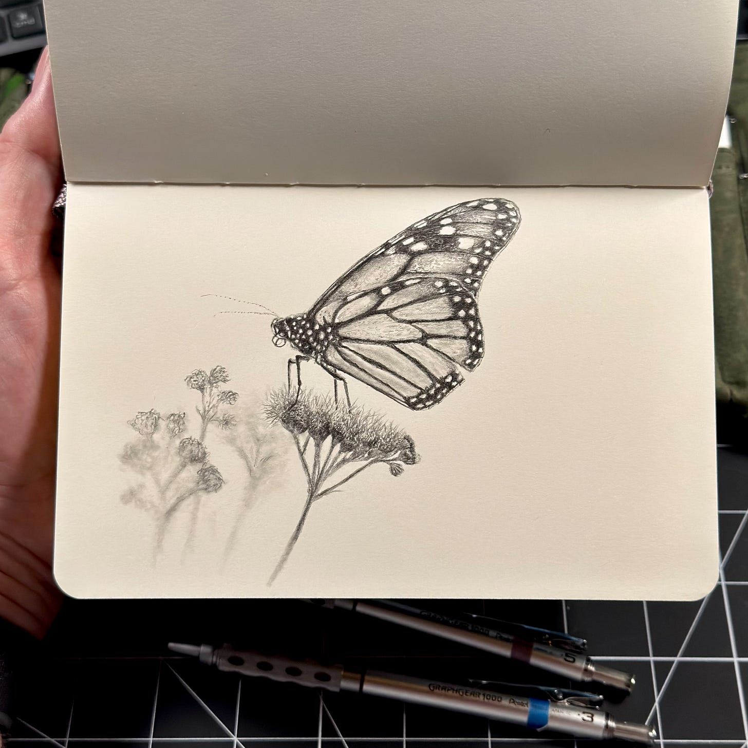Drawing of a monarch in a sketchbook surrounded by pencils