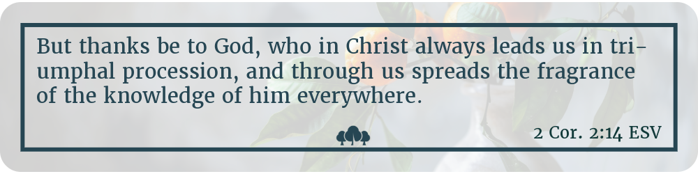 2 Corinthians 2:14