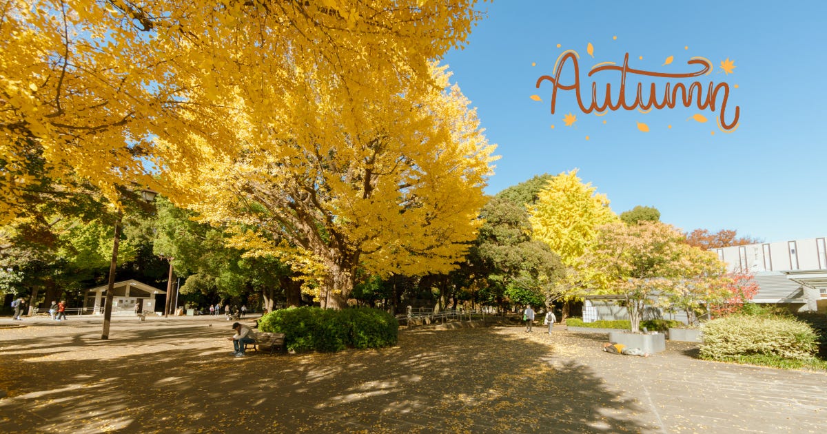 A sunny park in autumn. Tall ginkgo trees with bright yellow leaves stand against a clear blue sky, and fallen leaves cover the paved plaza below. A few people are walking through the park and one is sitting on a bench. In the top right corner, the word “Autumn” is hand-lettered in orange script, with small falling leaves around it. A sunny park in autumn. Tall ginkgo trees with bright yellow leaves stand against a clear blue sky, and fallen leaves cover the paved plaza below. A few people are walking through the park and one is sitting on a bench. In the top right corner, the word “Autumn” is hand-lettered in orange script, with small falling leaves around it.