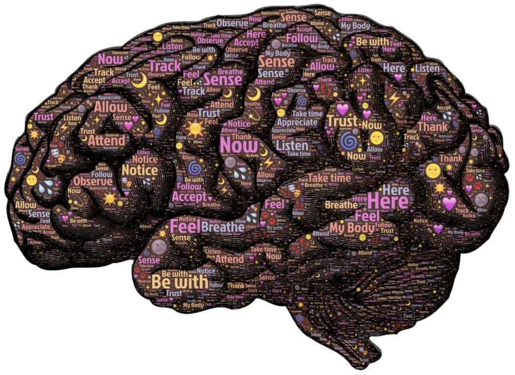 Peter Smith quantum consciousness