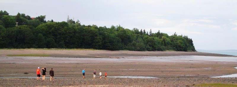 nova scotia history nature