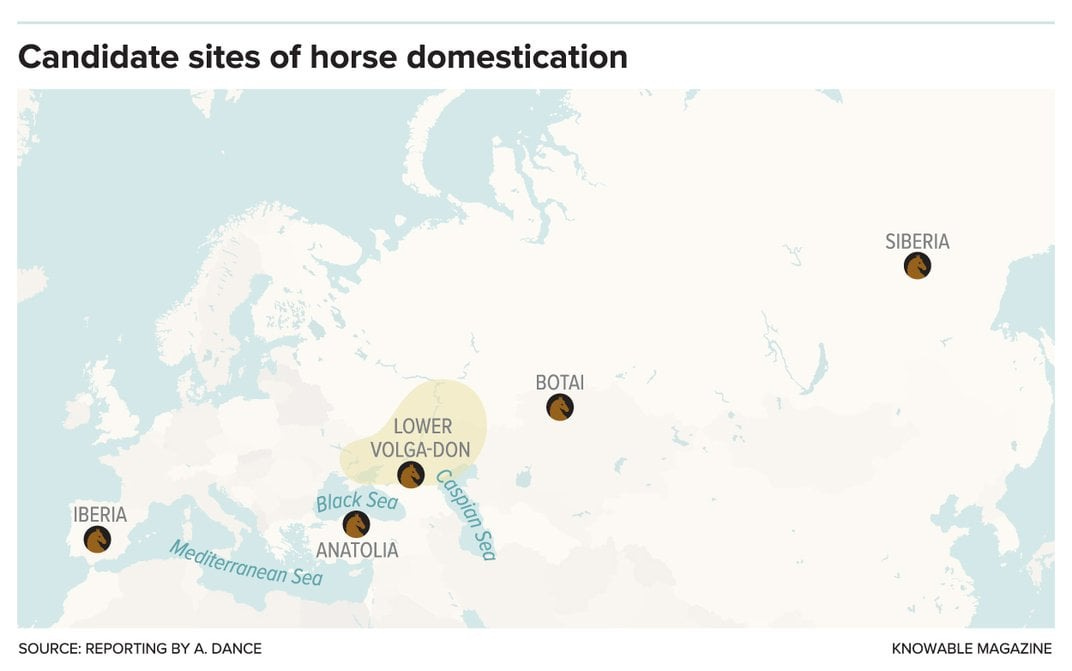 Map of Horse Domestication Location Map of Horse Domestication Location