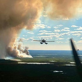 Ford government won’t commit to forest fire inquiry, as chiefs demand change