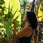 María Del Carmen Méndez's avatar