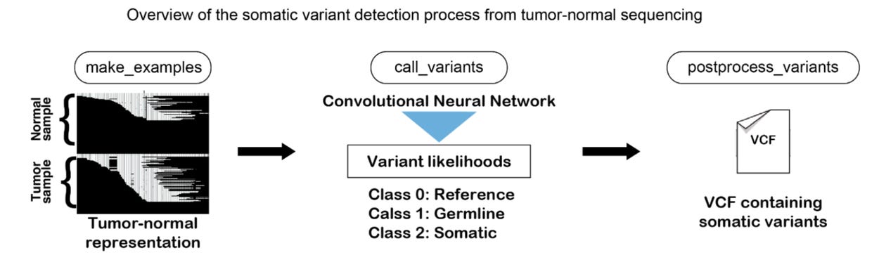 Overview of DeepSomatic