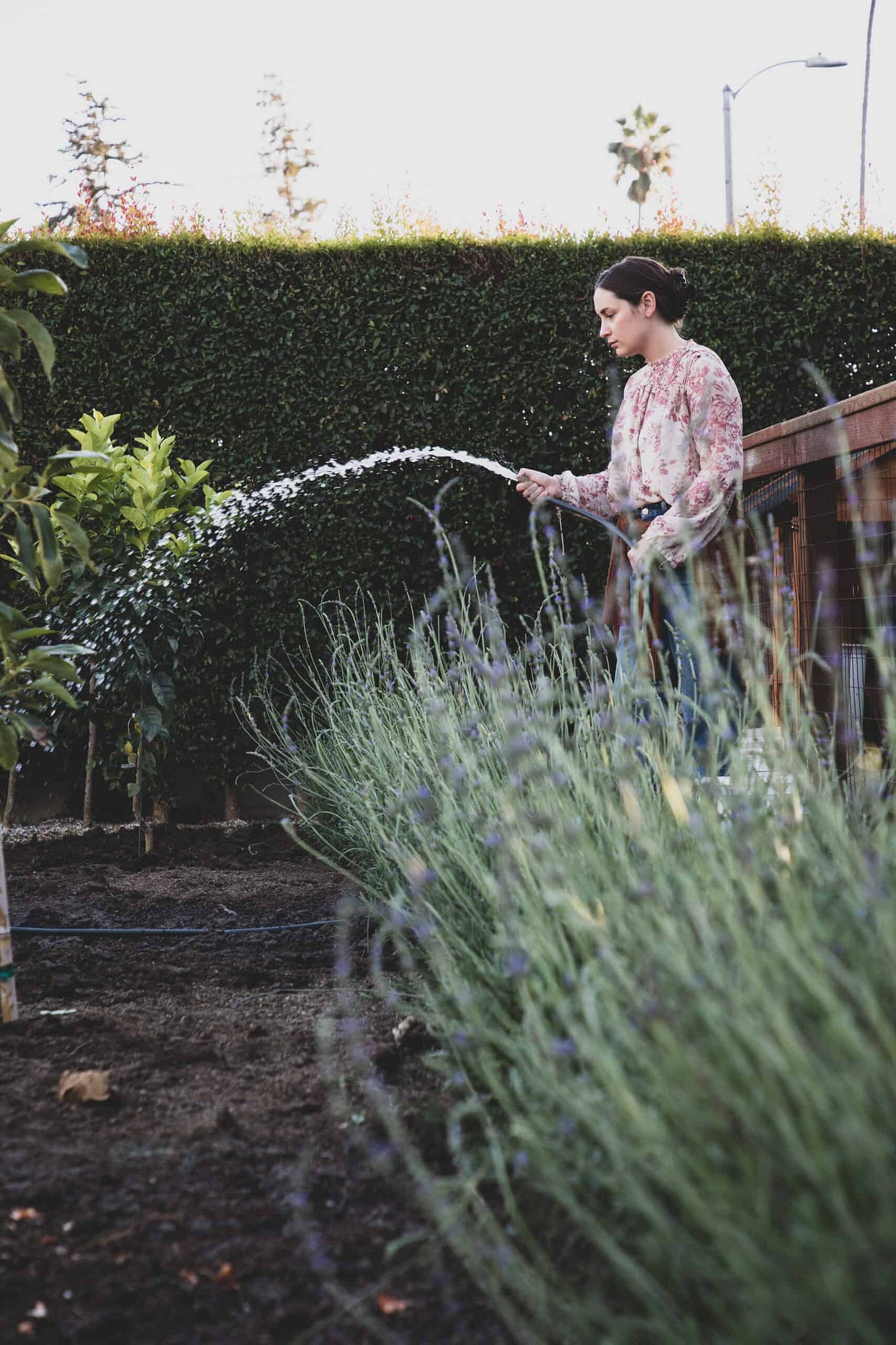 Gardening 101: How to Choose the Best Garden Site for Success