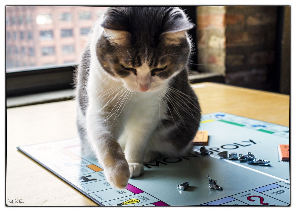 Grey and white cat sitting on a Monopoly game board, looking down at the 'Electric Company' space, one paw extended as if moving a game token. Grey and white cat sitting on a Monopoly game board, looking down at the 'Electric Company' space, one paw extended as if moving a game token.