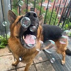 Fooled by Joyful Randomness