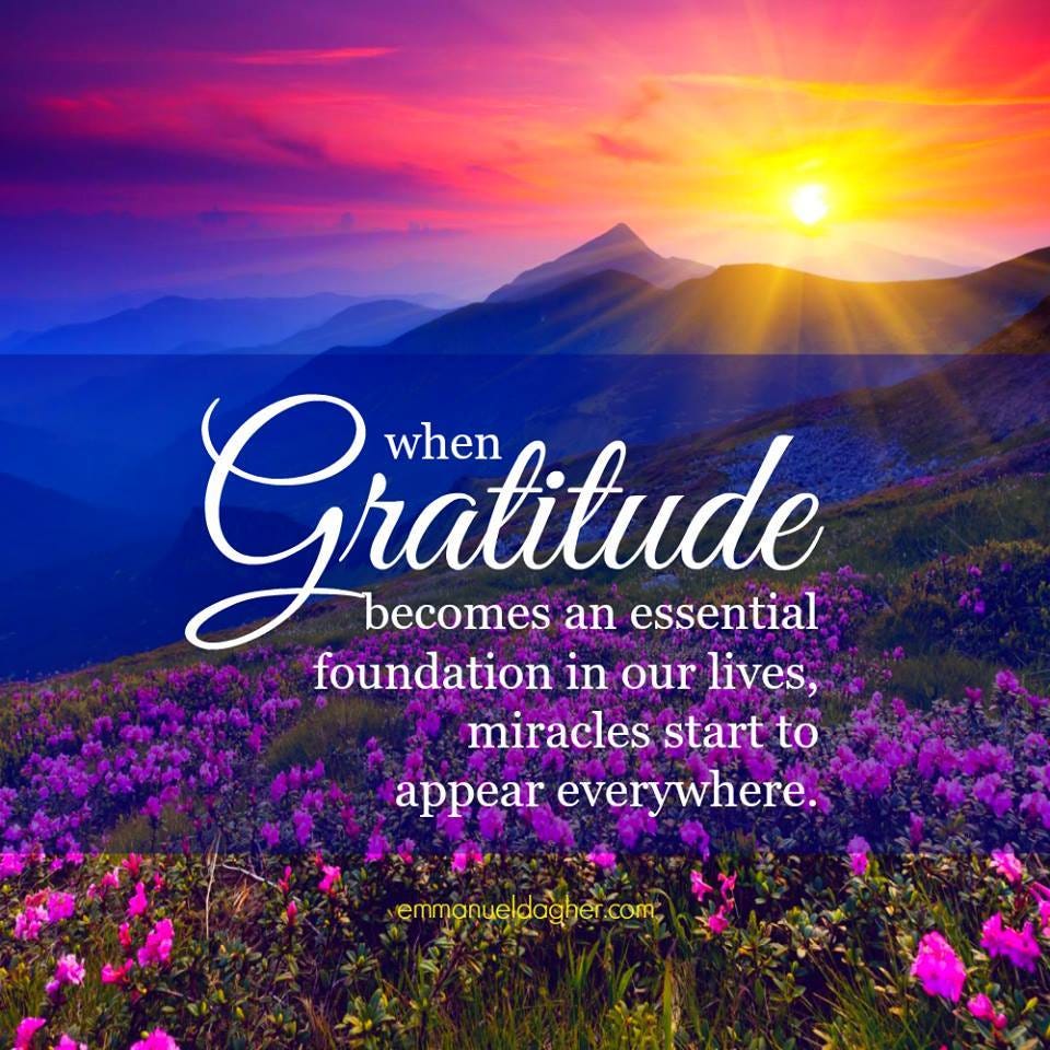 Kindness Campaign on | Good morning quotes, Gratitude quotes, Morning ...