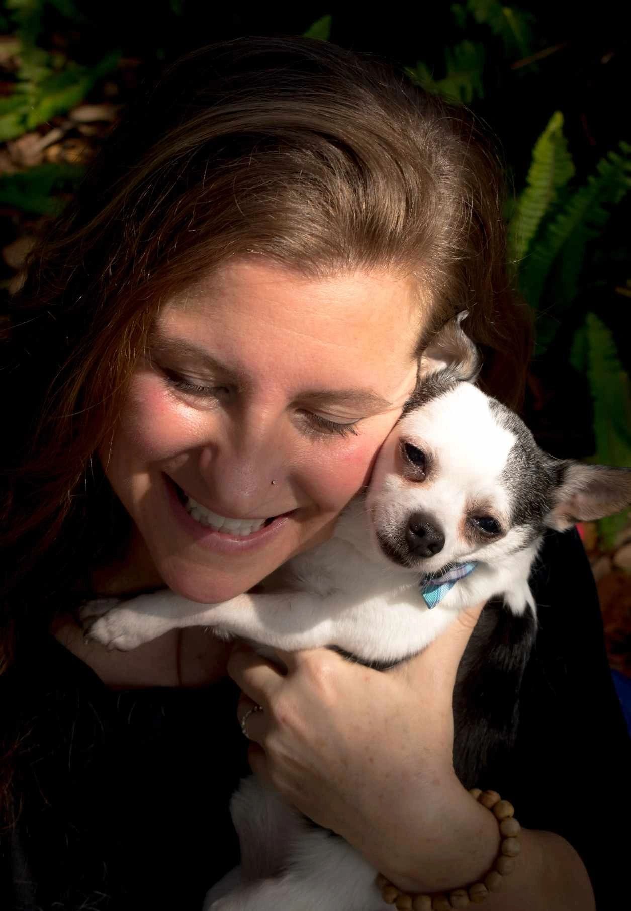 senior chihuahua