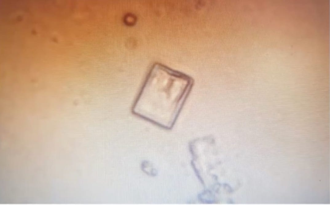 What's in the Vials? A Conversation with a Team in New Zealand About ...