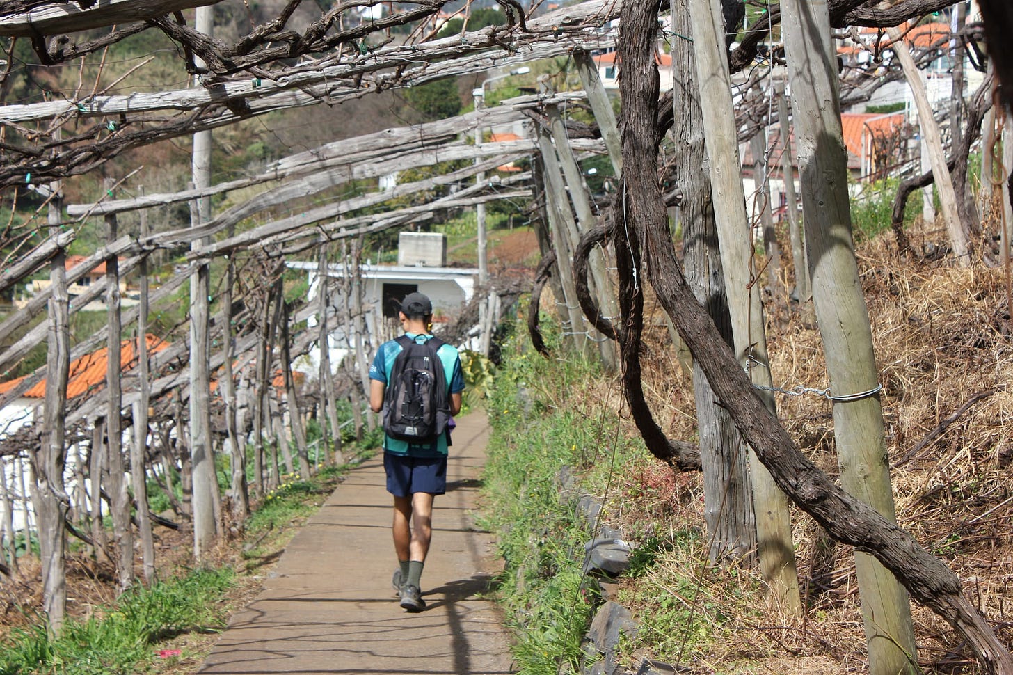 Madeira - A 6 Day Guide