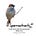 Sparrowtracts's avatar