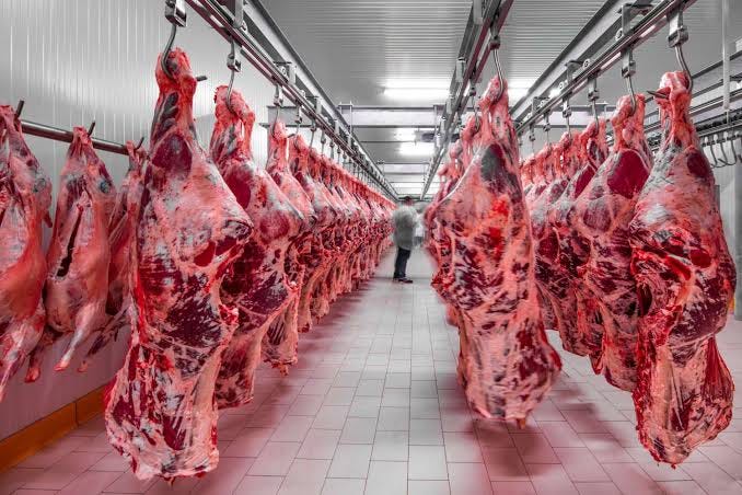 Cattle slaughter dynamics show what a year it's been Cattle slaughter dynamics show what a year it's been
