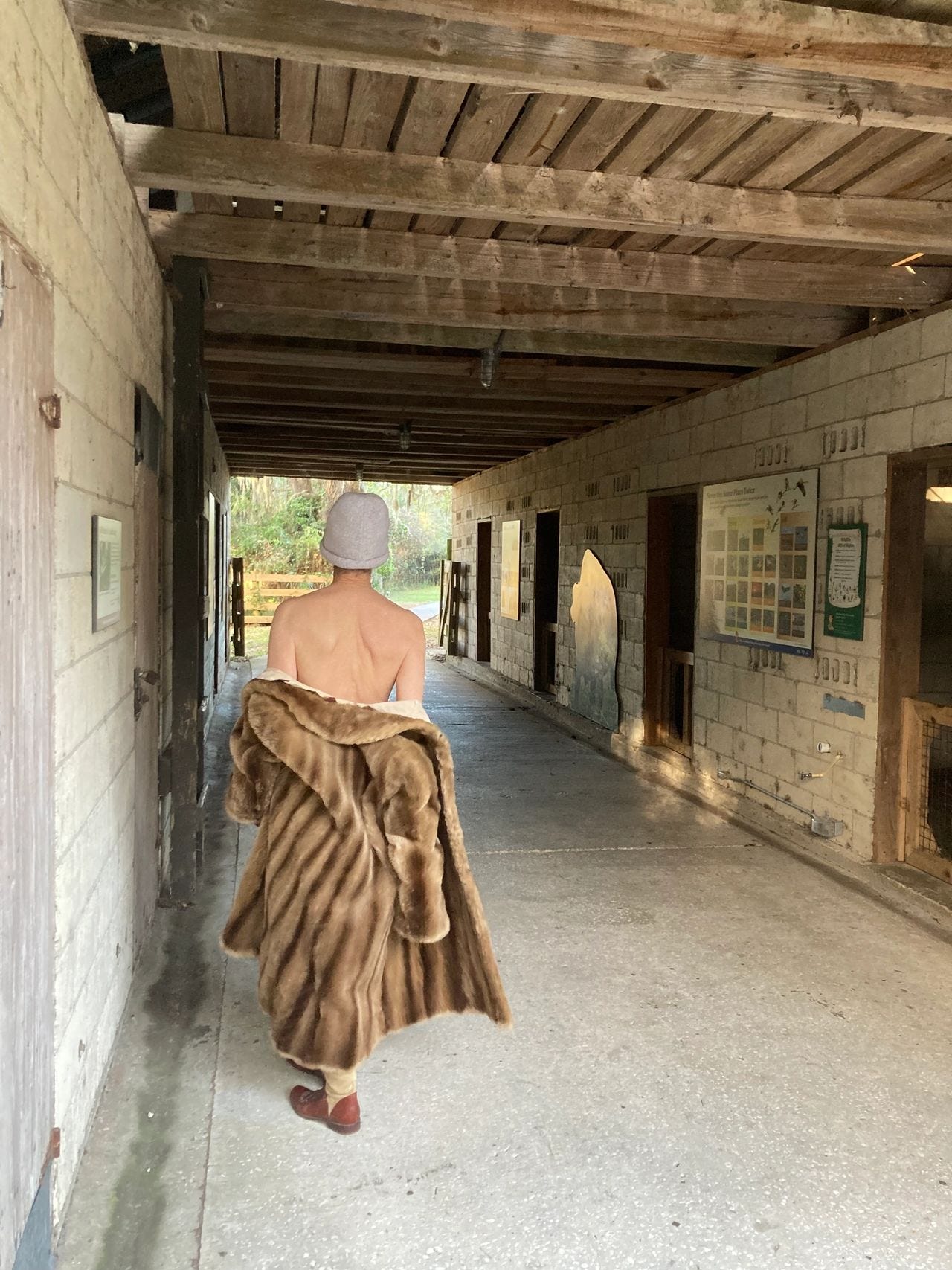 Beverly Lane in the Horse Barn at LaChua Trailhead, Paynes Prairie 2022