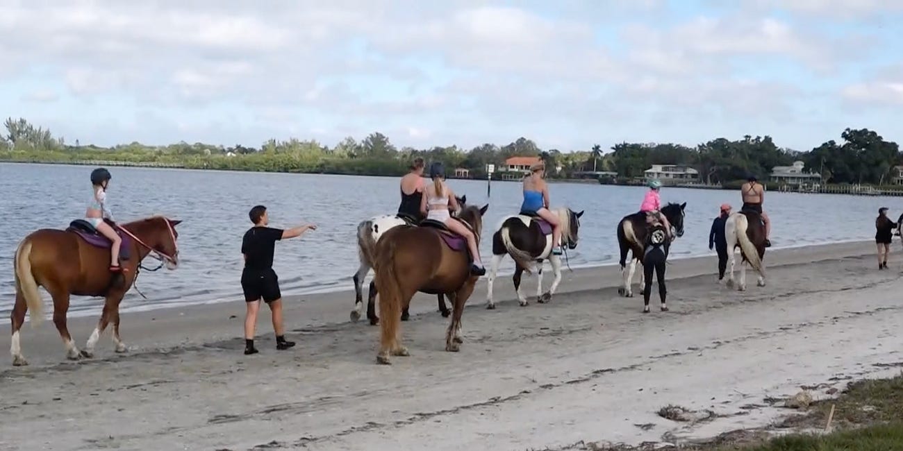 Debate Continues Over Horseback Riding in Palma Sola Bay as City Seeks More Water-Quality Data