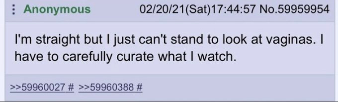 A screenshot of a social media post on X. The post includes text in a light purple box with a timestamp "02/20/21 (Sat) 17:44:57 No.59965954" and the username "Anonymous." The text reads, "I\'m straight but I just can\'t stand to look at vaginas. I have to carefully curate what I watch." Additional text below shows reply indicators with numbers "59960027 > 59960388." No watermarks from other platforms are visible.