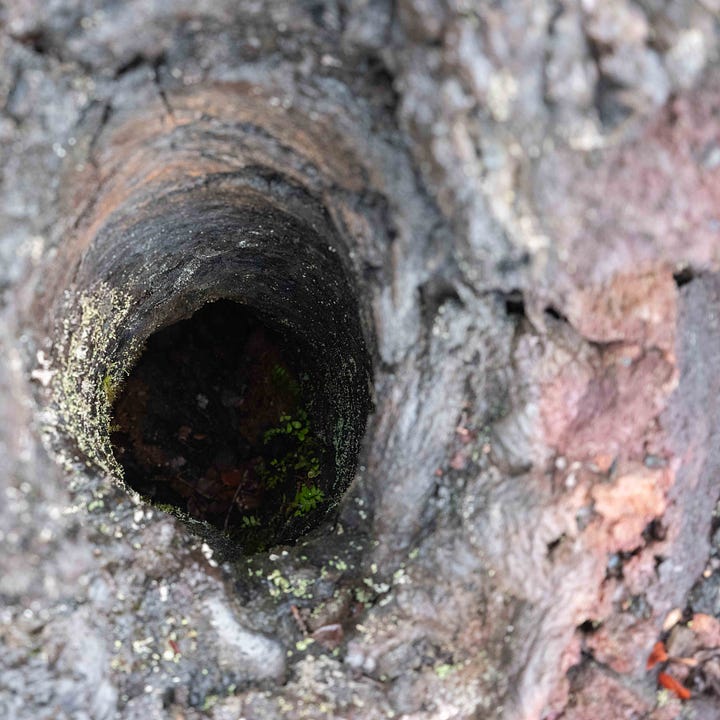 Diptych: Resin covered circle of a tree 'stump' and the circular hole into lava.