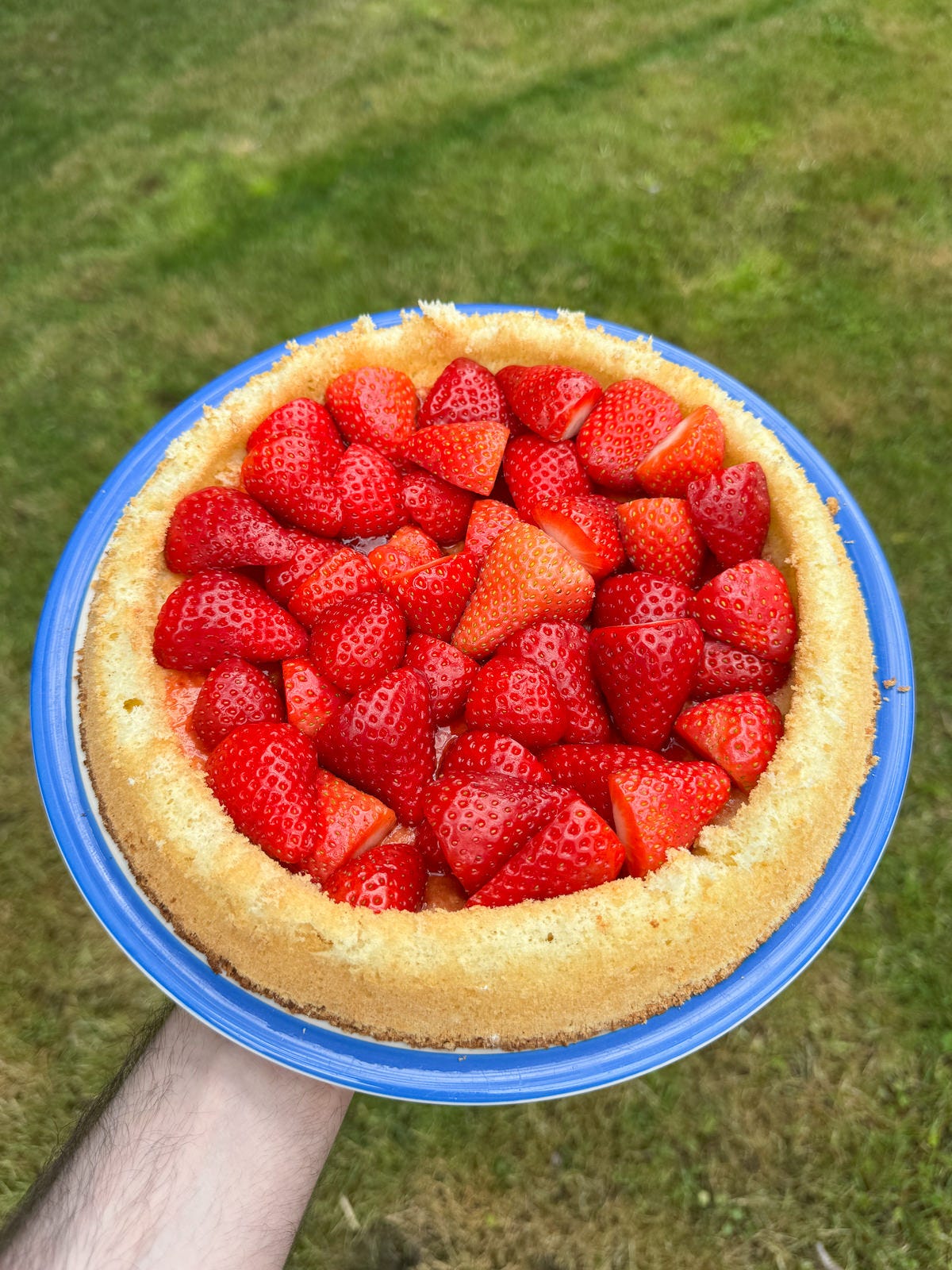 fresh strawberries for flan fresh strawberries for flan