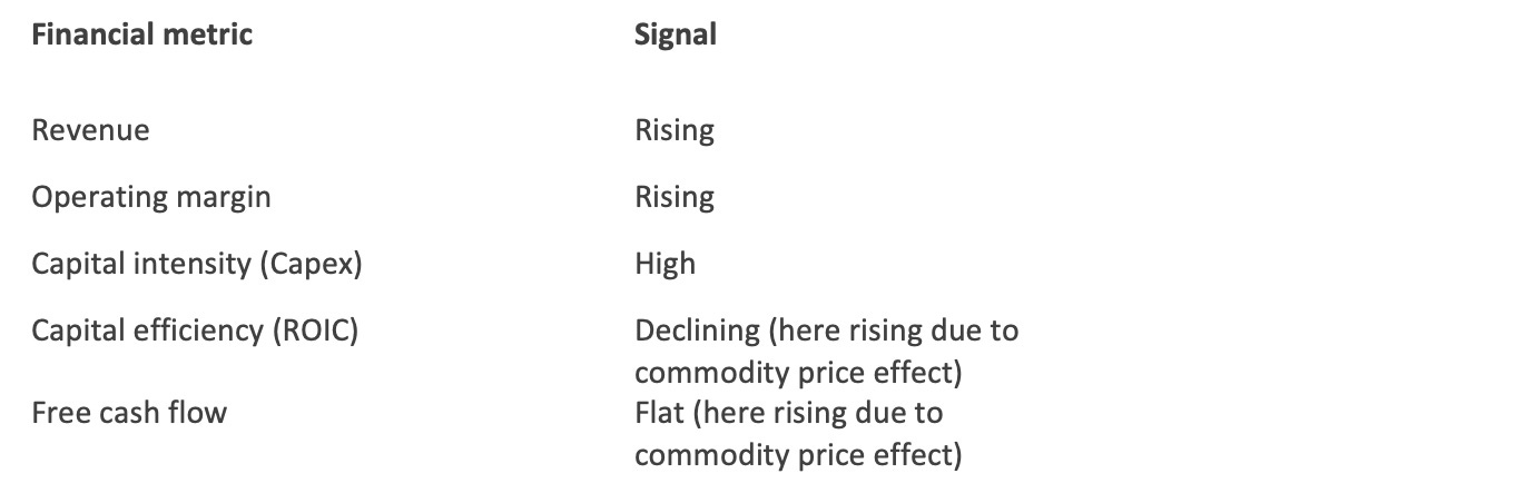 Diagnostic pattern table: Margin Expansion Illusion pattern showing rising margins alongside high capital intensity and volatile returns.