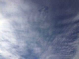 PURELY DEC 2 angel 2.JPG