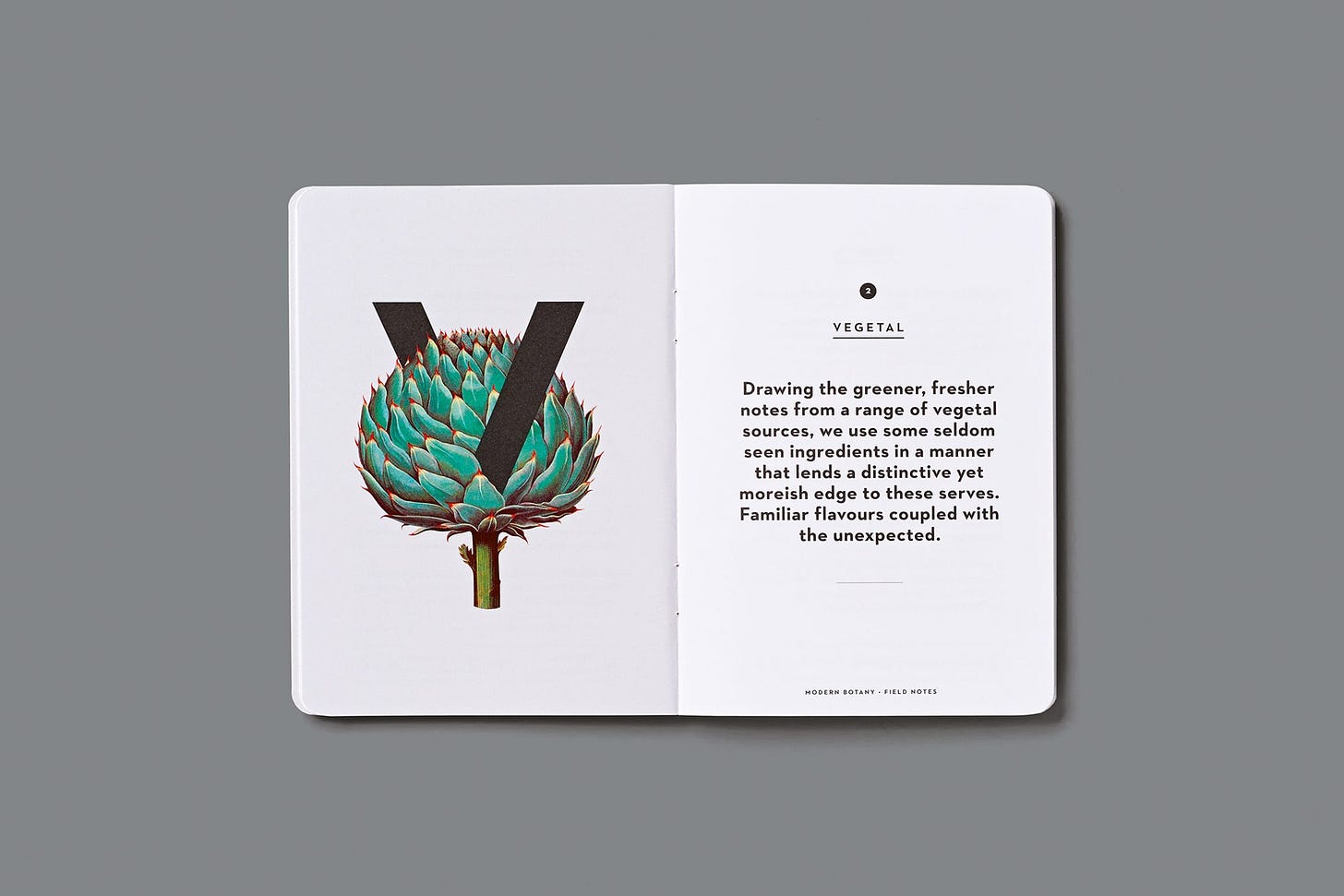 Dandelyan | Brand Identity | Magpie Studio