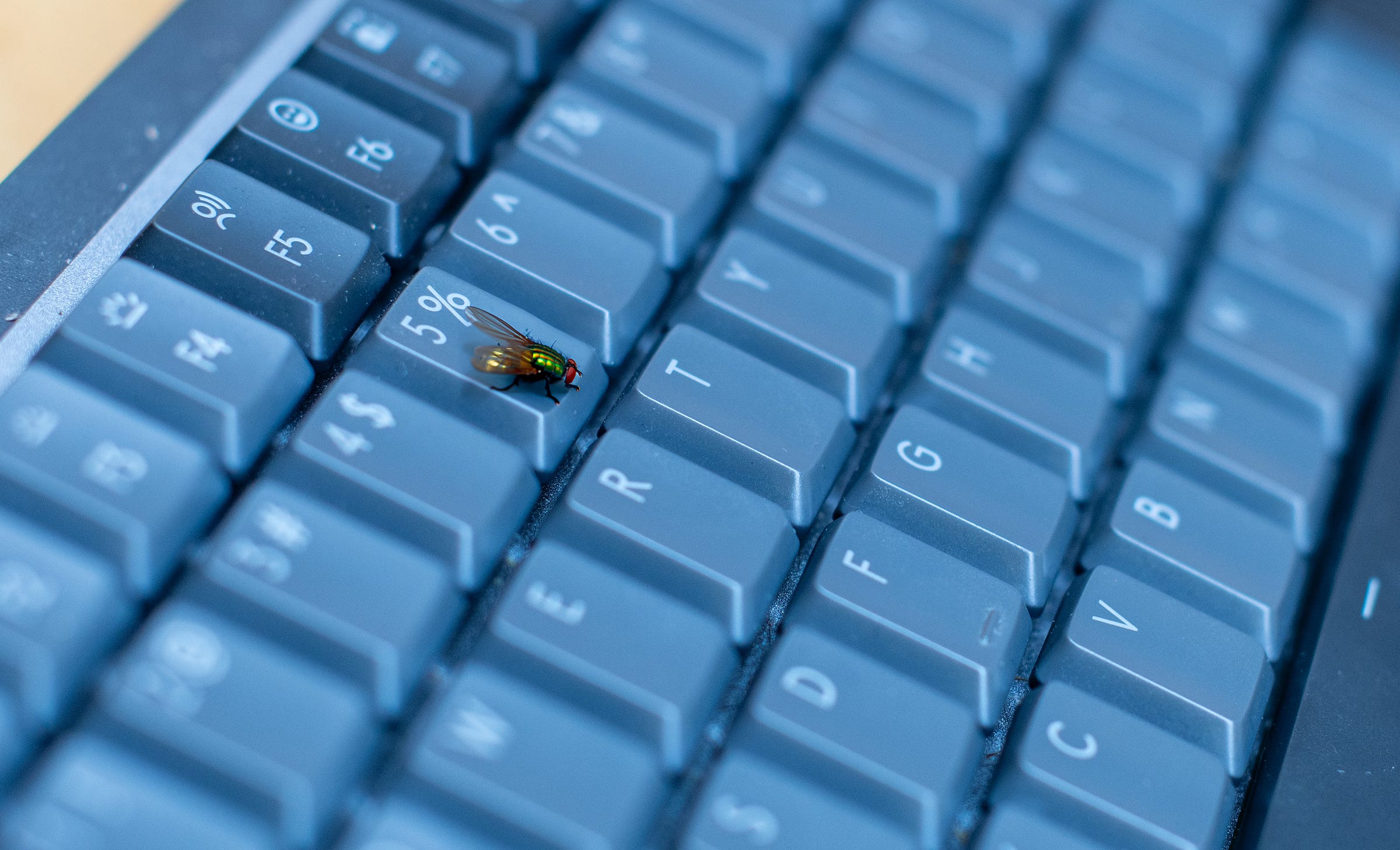 Looks like we've got a new type of "bug" in the system