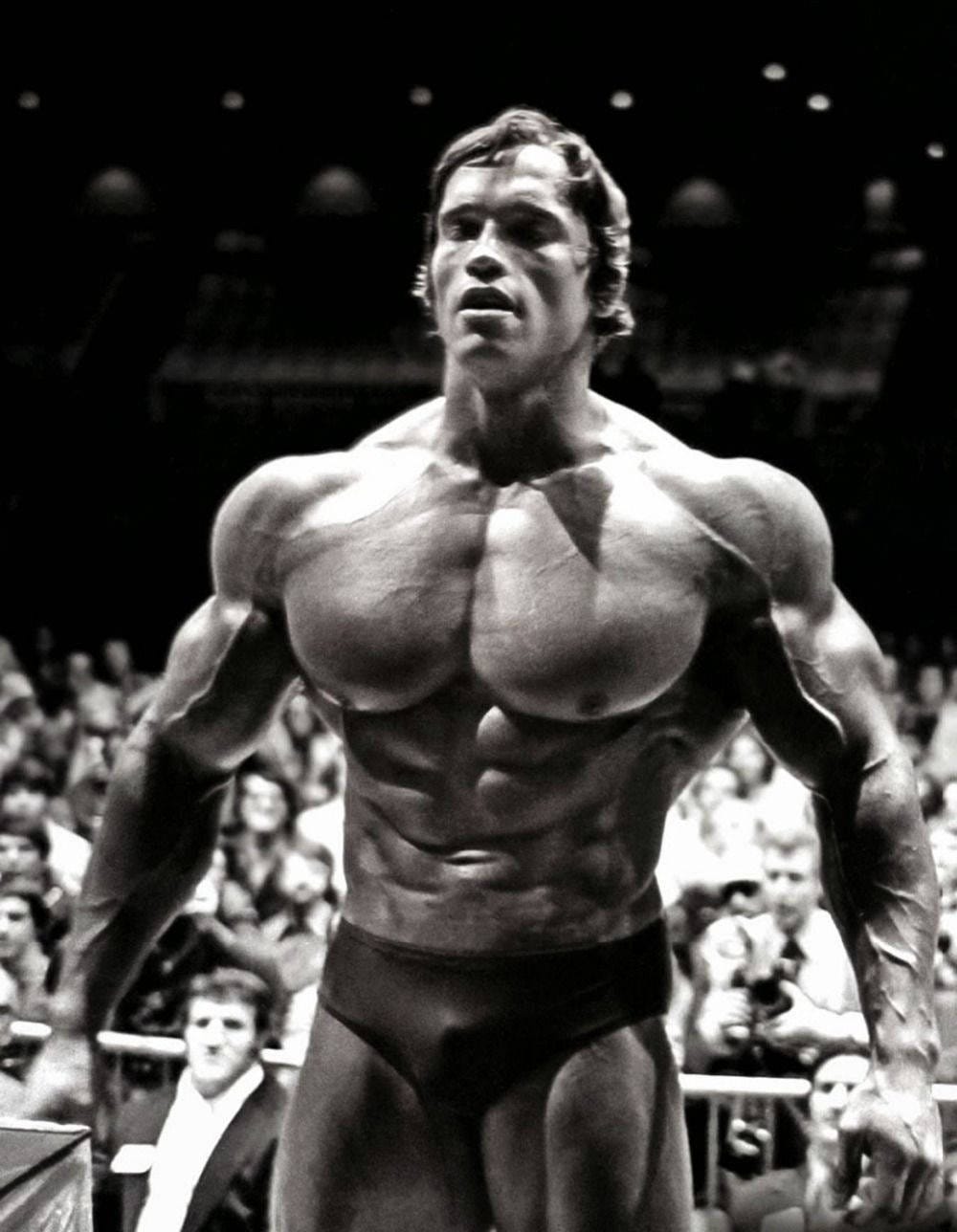 Download Arnold Schwarzenegger In Black And White Wallpaper | Wallpapers.com Download Arnold Schwarzenegger In Black And White Wallpaper | Wallpapers.com