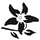 Summerflowers’s Substack