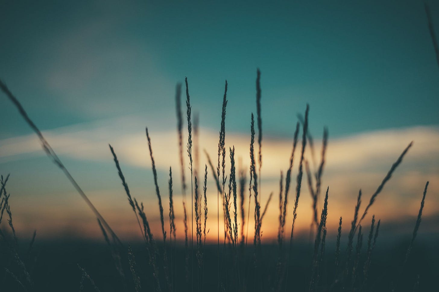 On Being Thoughtless On Being Thoughtless